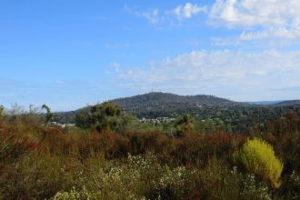 Handicap Transportation Cameron Park